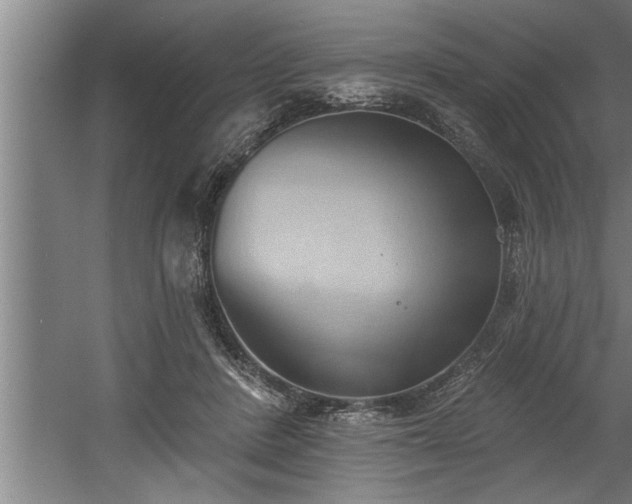 X0000060560408200511070953