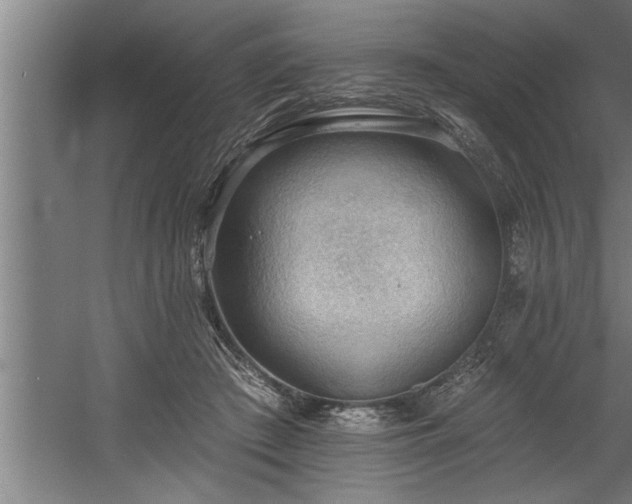 X0000060560409200511070953