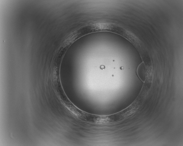 X0000060560410200511070953