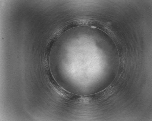 X0000060560411200511070953