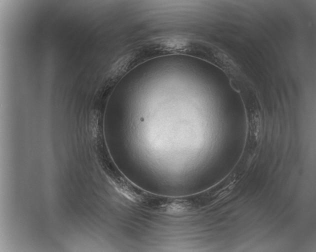 X0000060560412200511070953