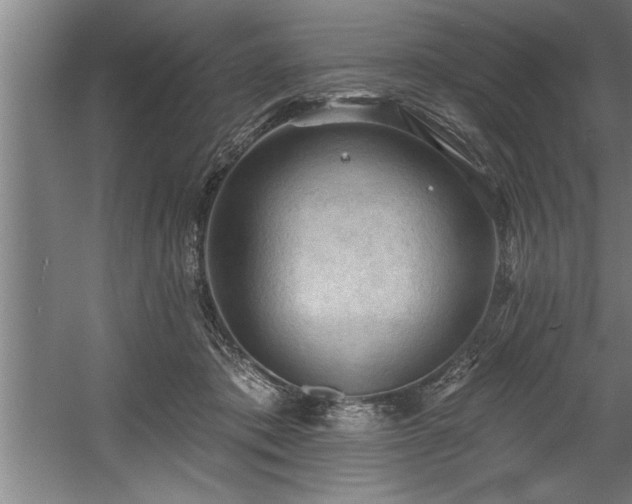 X0000060560413200511070953