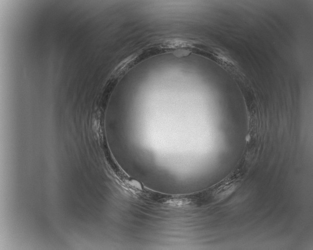 X0000060560415200511070953