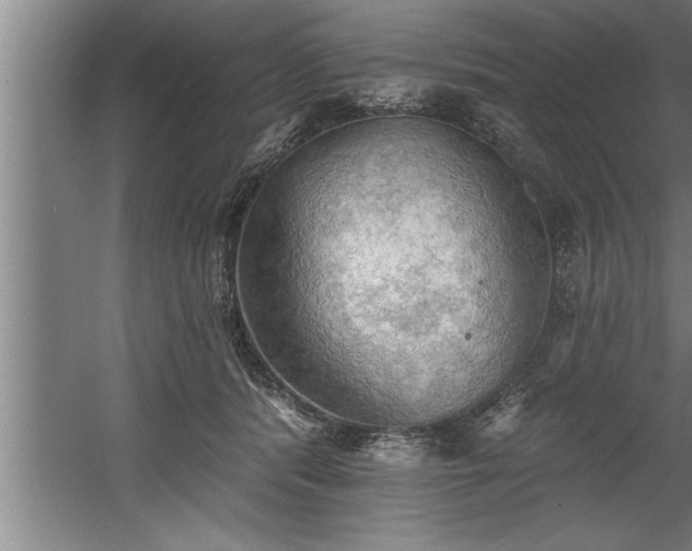 X0000060560416200511070953