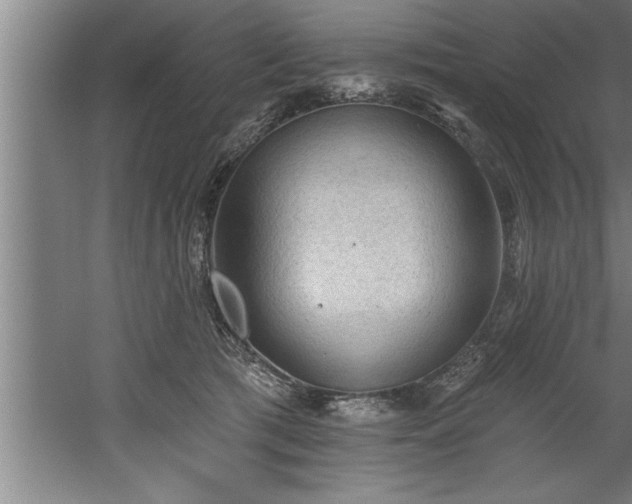 X0000060560417200511070953