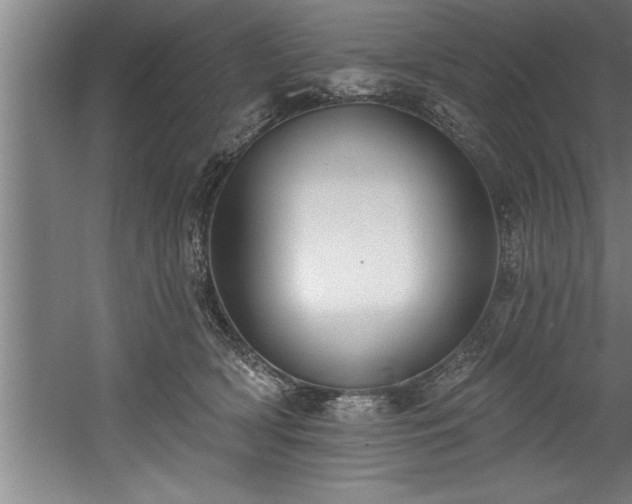 X0000060560418200511070952