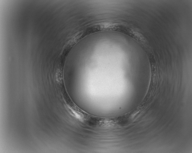 X0000060560419200511070952