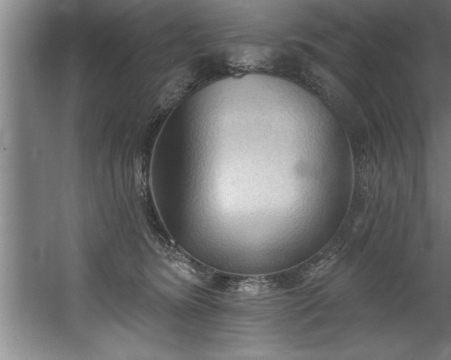 X0000060560420200511070952