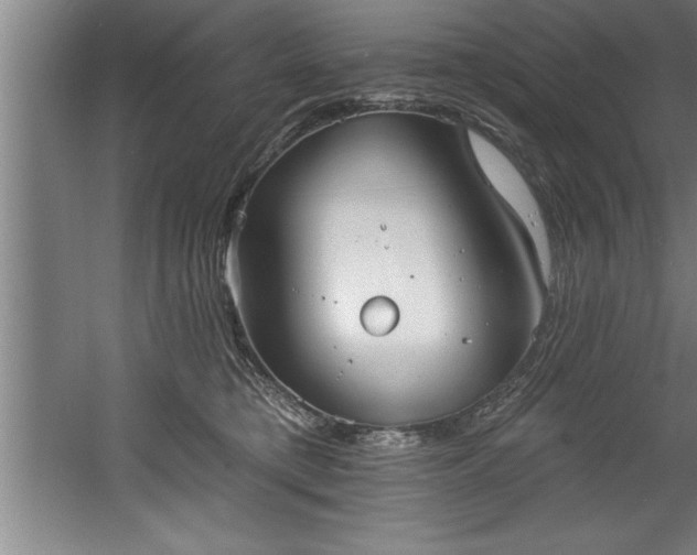 X0000060560421200511070952