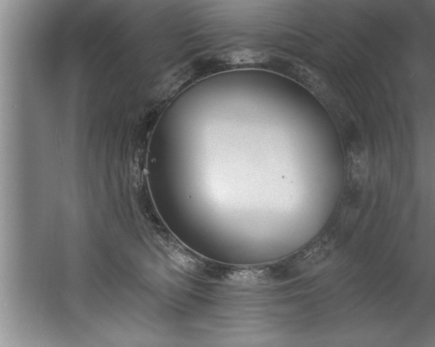 X0000060560422200511070952