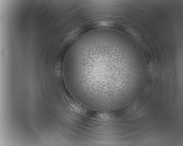 X0000060560423200511070952