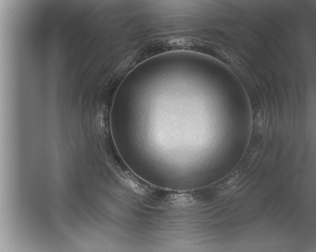 X0000060560424200511070952