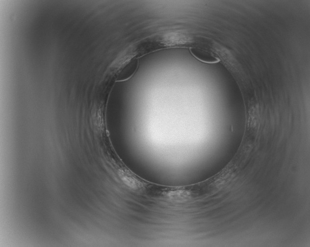 X0000060560426200511070952