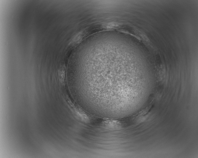 X0000060560427200511070952