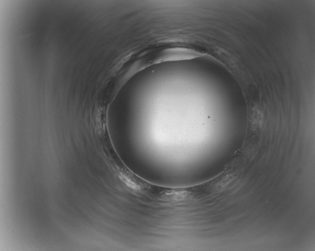 X0000060560428200511070952