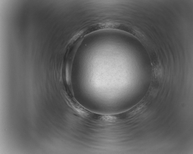 X0000060560429200511070952