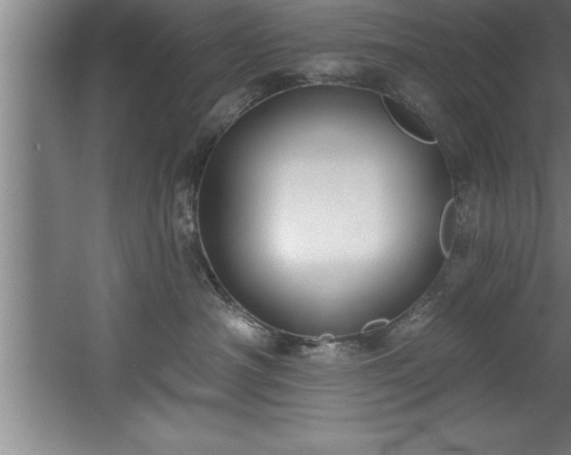 X0000060560430200511070952