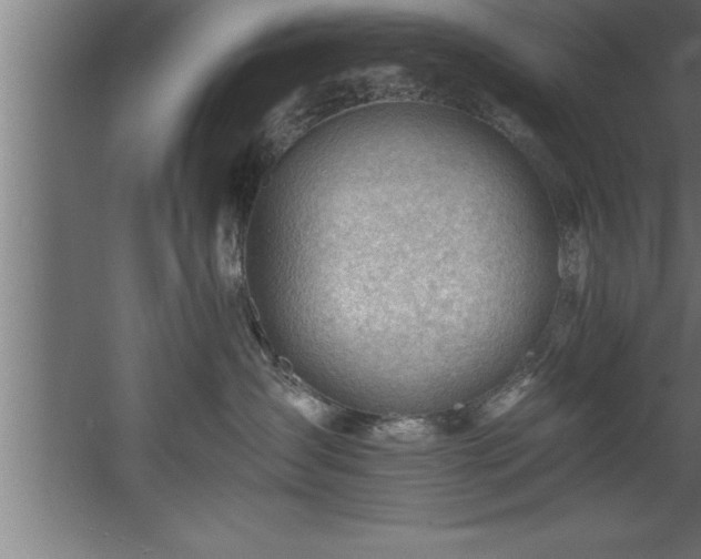 X0000060560431200511070952