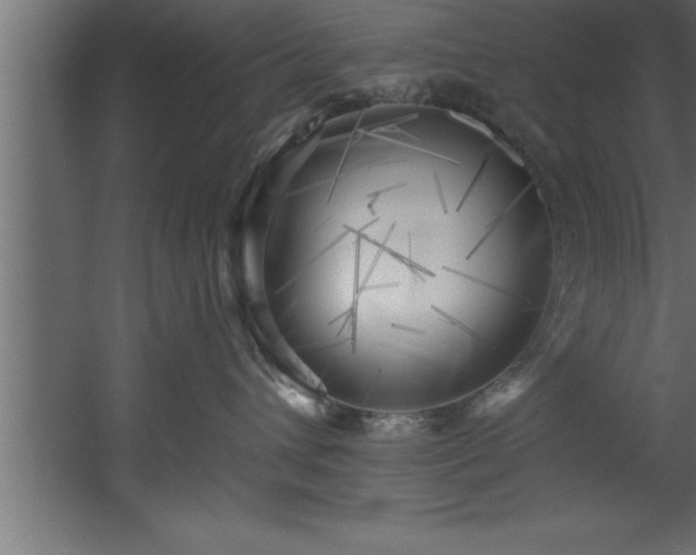 X0000060560432200511070952