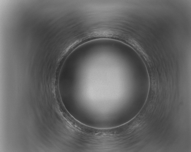 X0000060560434200511070951