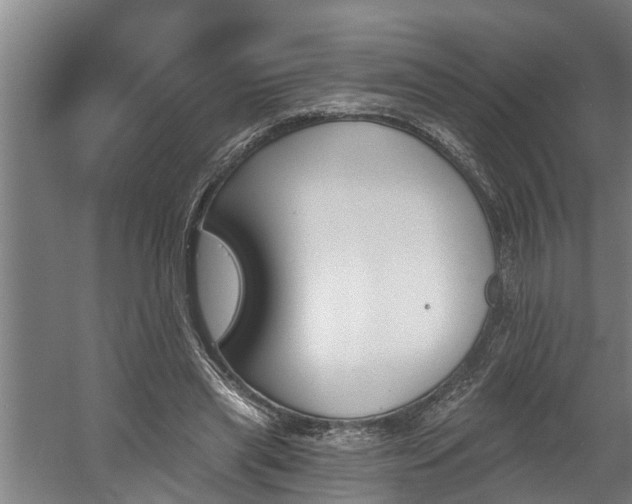 X0000060560445200511070952