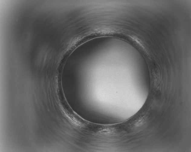 X0000060560447200511070952