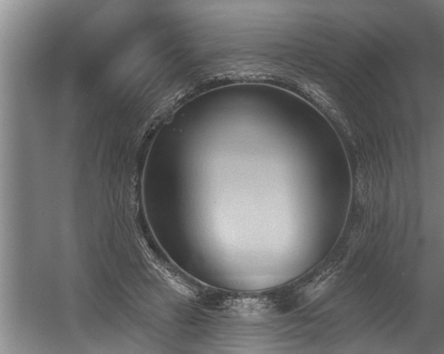 X0000060560449200511070952