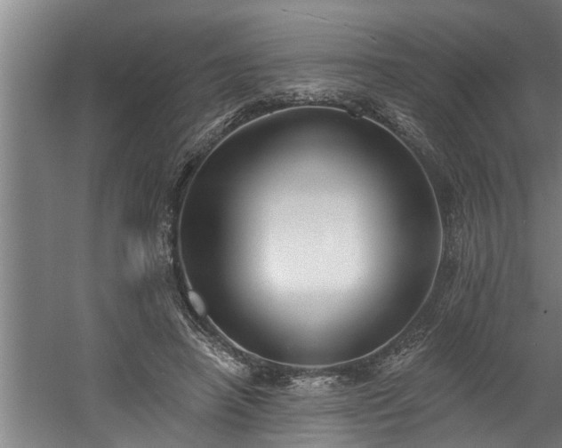 X0000060560450200511070952