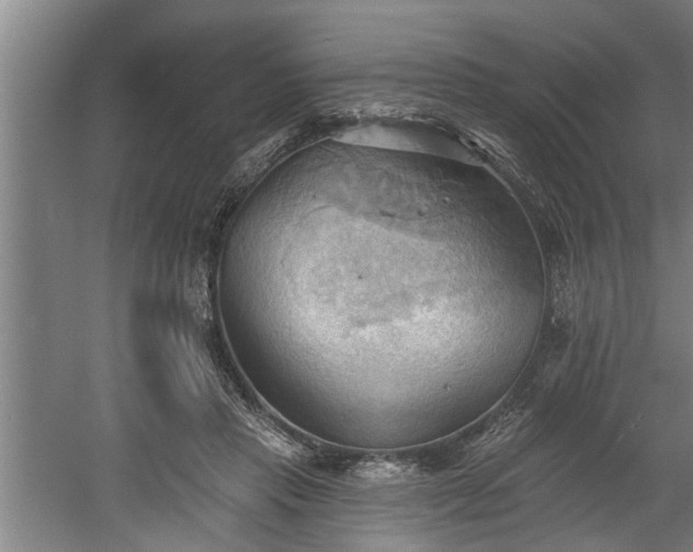 X0000060560453200511070952