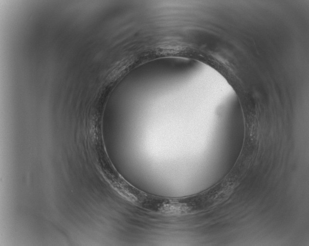 X0000060560455200511070952