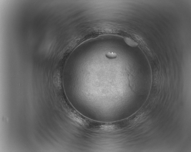 X0000060560457200511070952