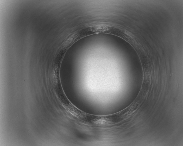 X0000060560460200511070952