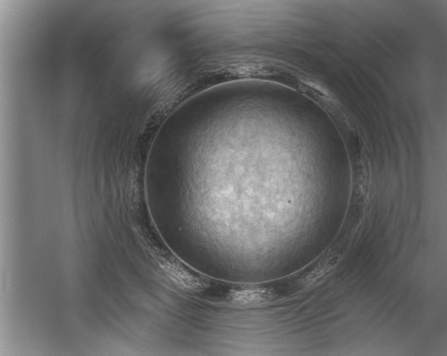 X0000060560461200511070952