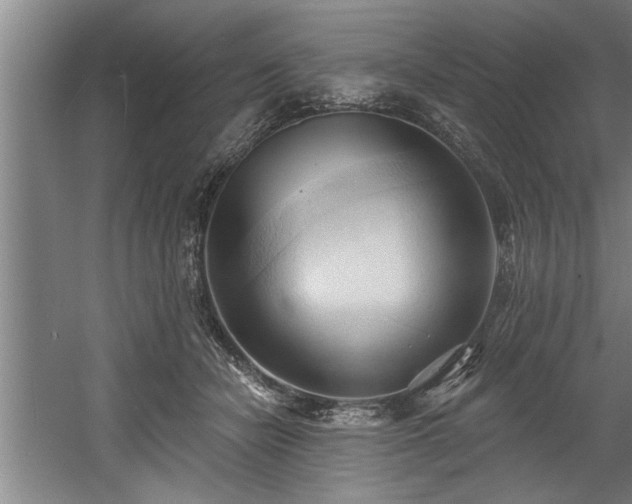 X0000060560462200511070952