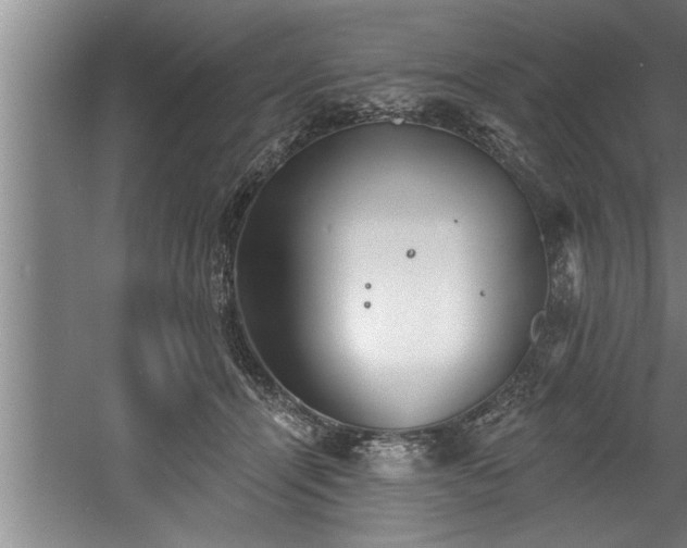 X0000060560464200511070952