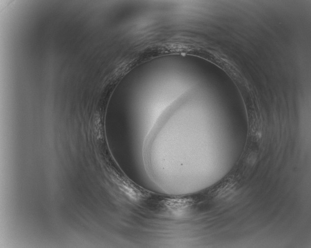 X0000060560465200511070952