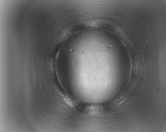 X0000060560466200511070952