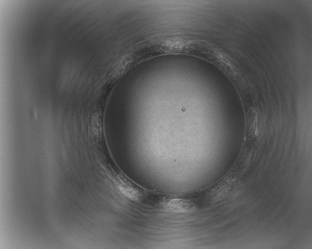 X0000060560467200511070952