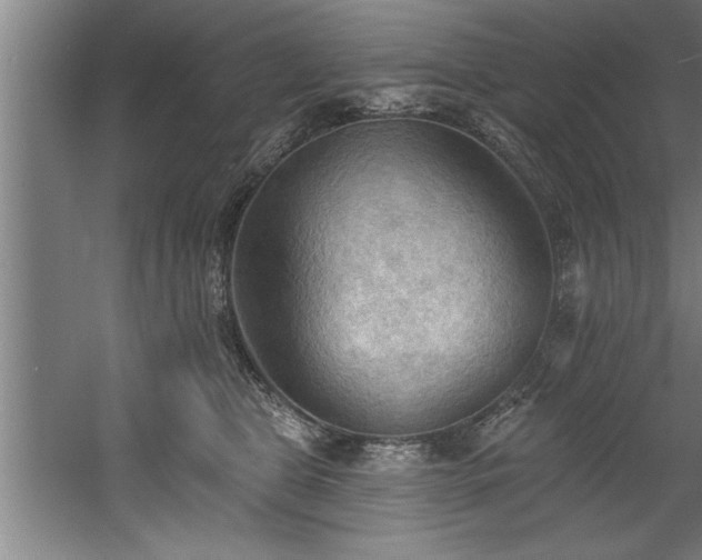 X0000060560469200511070952