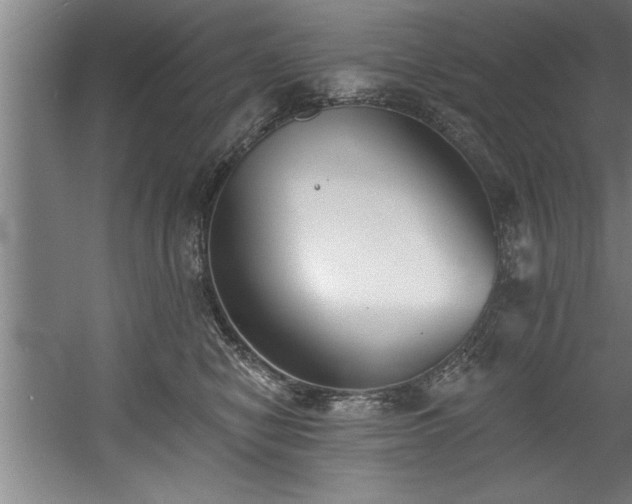 X0000060560470200511070952