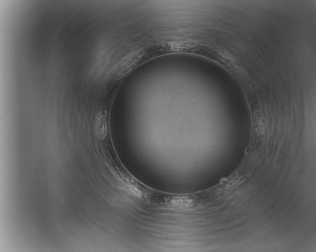 X0000060560471200511070952