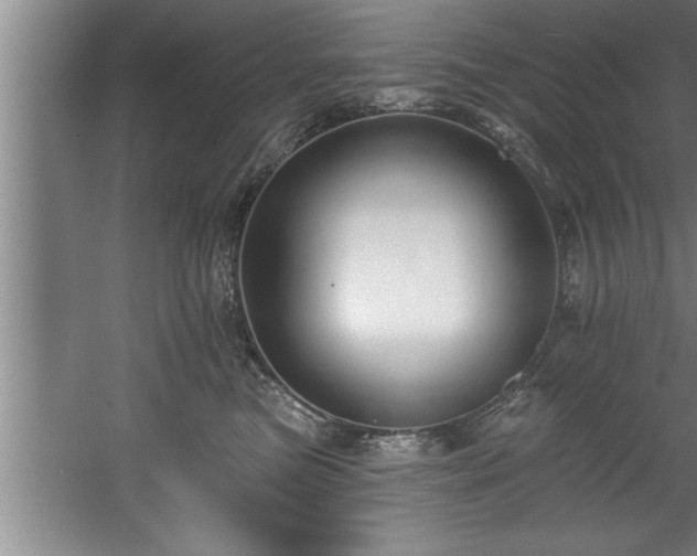 X0000060560473200511070952