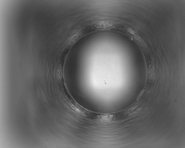 X0000060560474200511070952