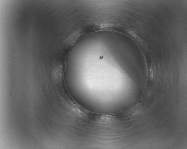 X0000060560475200511070952