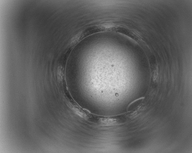 X0000060560476200511070952