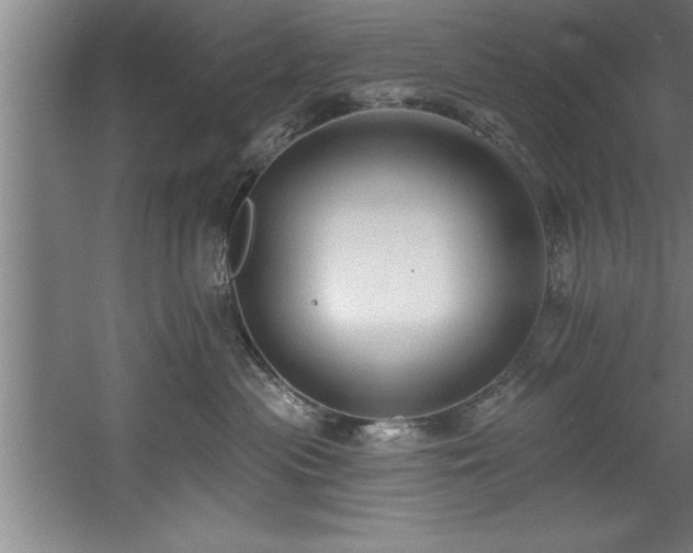 X0000060560477200511070952