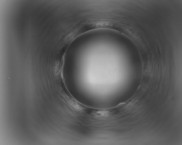 X0000060560478200511070952