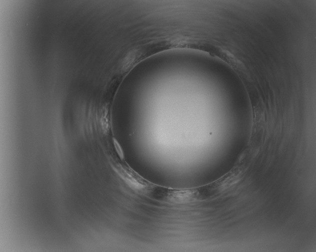 X0000060560479200511070952