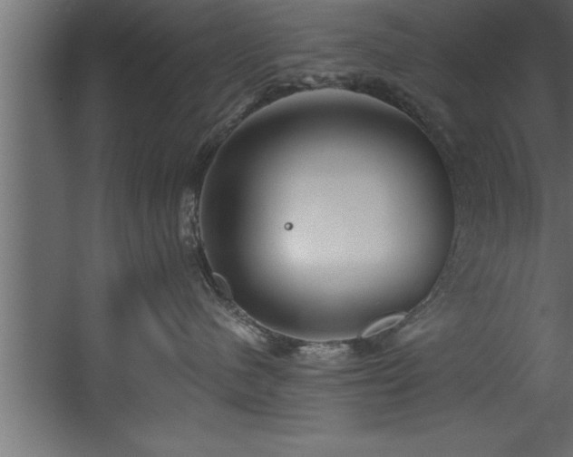 X0000060560480200511070952