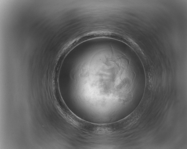 X0000060560487200511070951